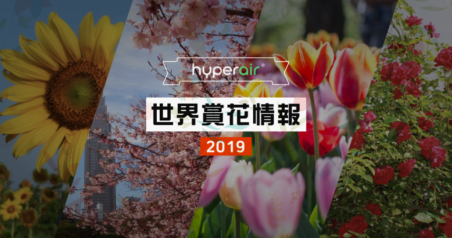 【春天の花見】世界賞花情報 2019
