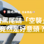 【遊走日本東北】親親海鷗的蕪嶋神社 8 20190430 Kabushima Web 1