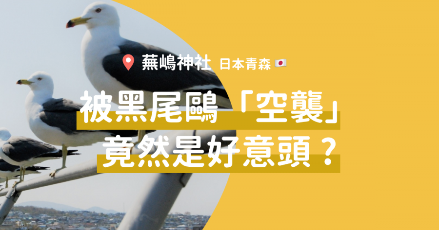 【遊走日本東北】親親海鷗的蕪嶋神社