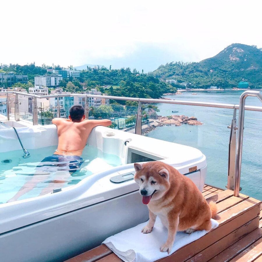 A Person And A Dog On A Boat

Description Automatically Generated With Medium Confidence