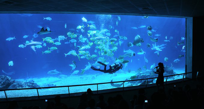 A picture containing monitor, vessel, aquarium, display

Description automatically generated