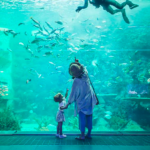 5大台灣必去水族館