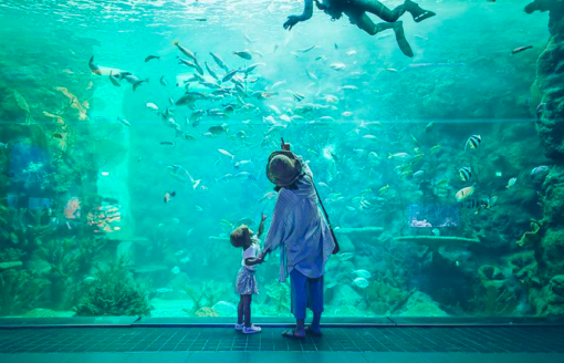5大台灣必去水族館