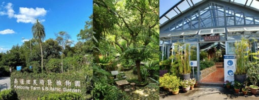 Screenshot 2022 03 24 At 10.07.58 Pm1