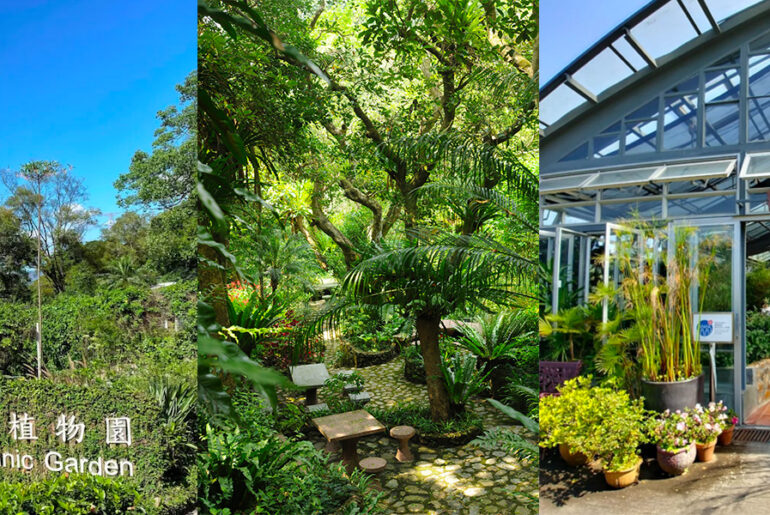 嘉道理農場親子一日遊 |精選十大探索自然景點|附入園詳情及交通方法 Screenshot 2022 03 24 At 10.07.58 Pm1