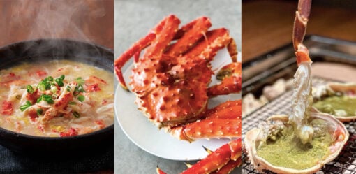 Lifewelltraveller 02