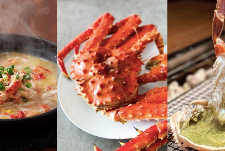 Lifewelltraveller 02