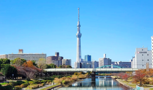 15大東京親子好去處