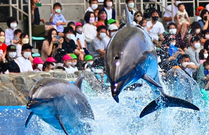 Port Of Nagoya Public Aquarium 06
